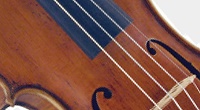 バイオリンに張られた4本の弦